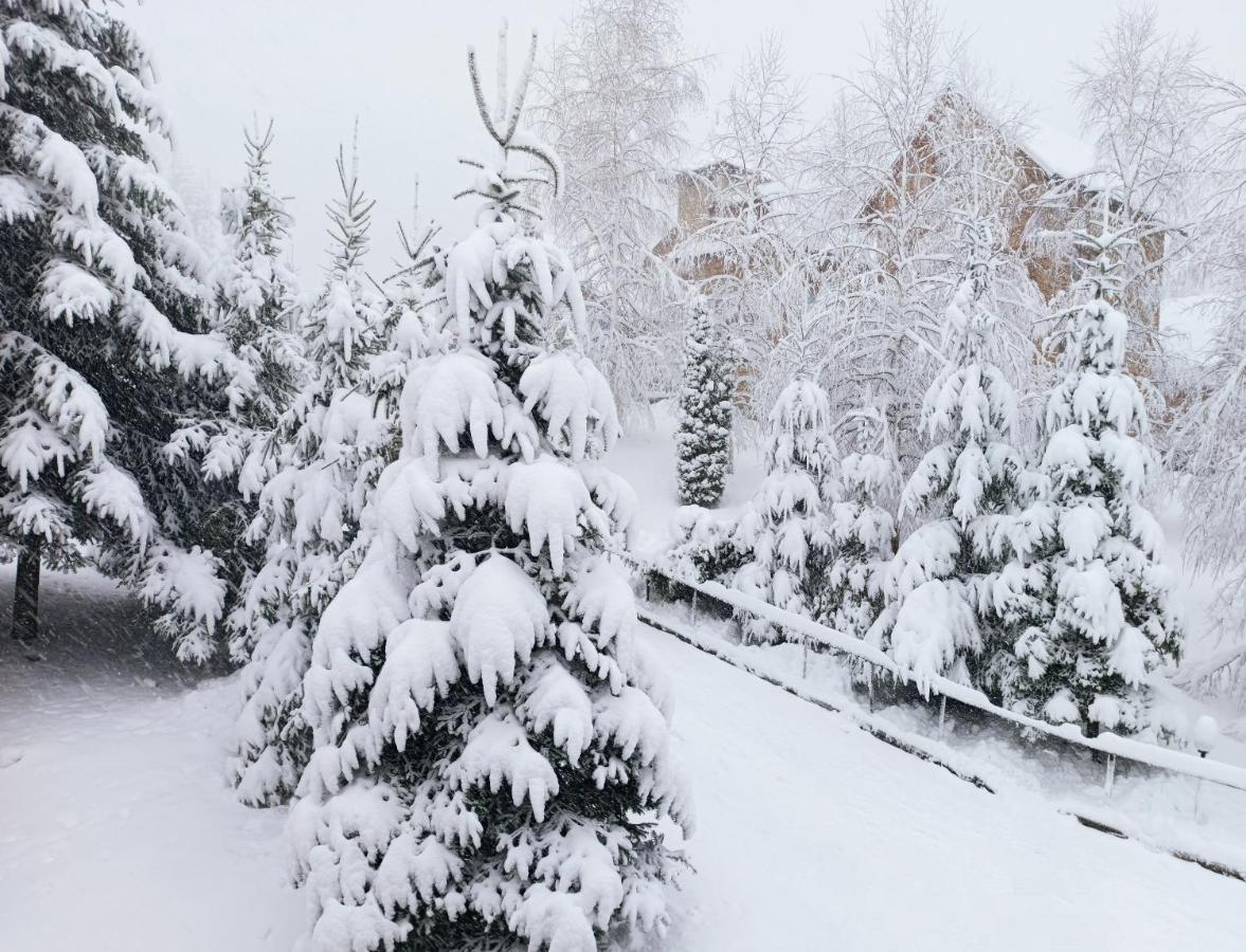 Satori Hotel Migovo Luaran gambar